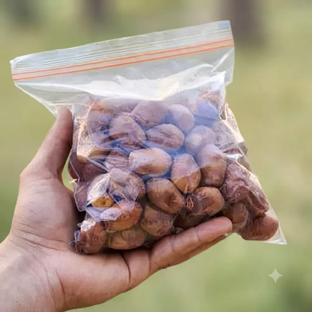 خرما زاهدی بوشهر با کیفیت مطلوب و طعم اصیل جنوب ایران
